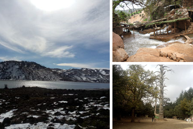 Excursions